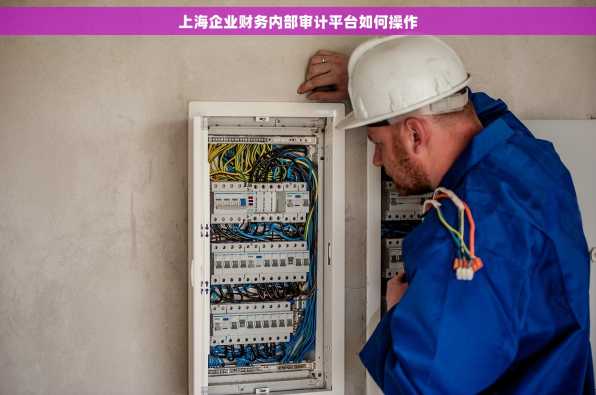 上海企业财务内部审计平台如何操作