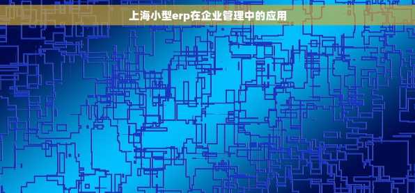 上海小型erp在企业管理中的应用