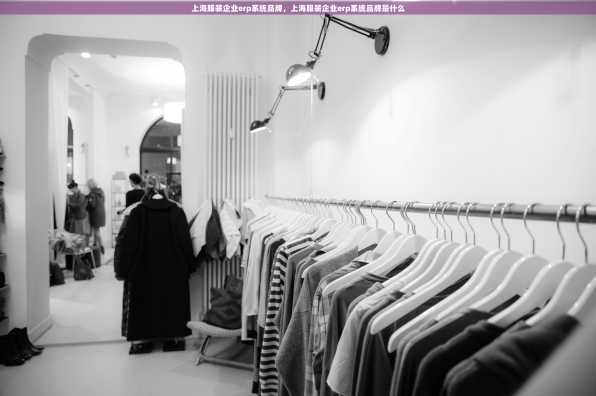 上海服装企业erp系统品牌，上海服装企业erp系统品牌是什么
