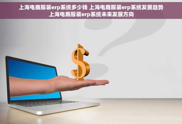 上海电商服装erp系统多少钱 上海电商服装erp系统发展趋势上海电商服装erp系统未来发展方向