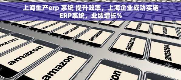 上海生产erp 系统 提升效率，上海企业成功实施ERP系统，业绩增长%