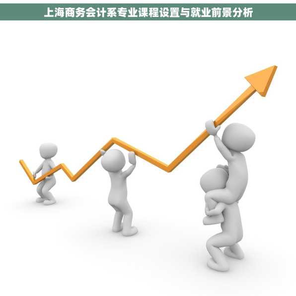 上海商务会计系专业课程设置与就业前景分析
