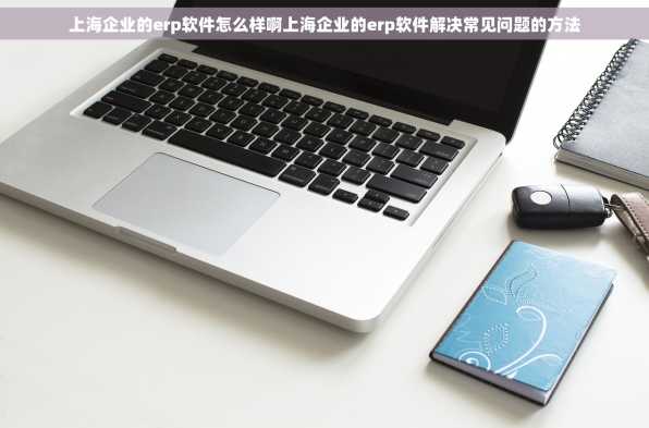 上海企业的erp软件怎么样啊上海企业的erp软件解决常见问题的方法