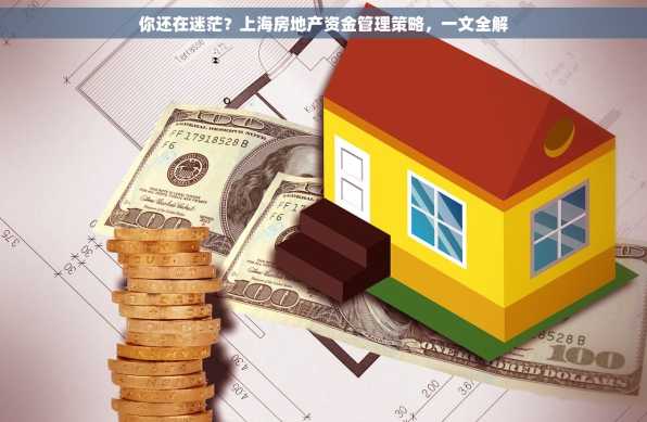 你还在迷茫？上海房地产资金管理策略，一文全解