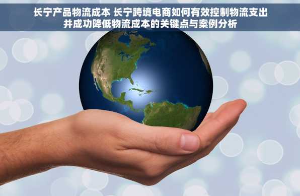 长宁产品物流成本 长宁跨境电商如何有效控制物流支出并成功降低物流成本的关键点与案例分析