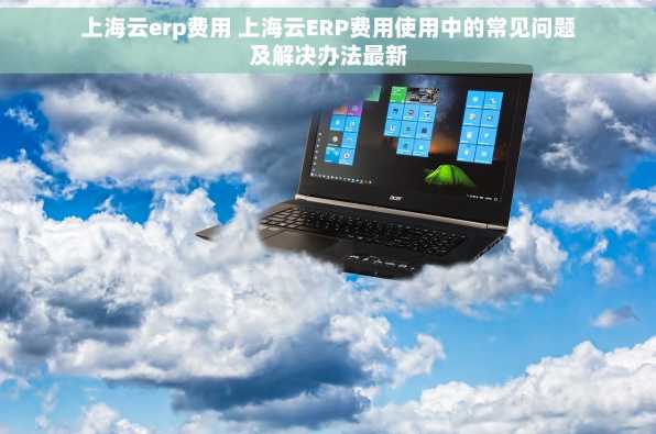 上海云erp费用 上海云ERP费用使用中的常见问题及解决办法最新