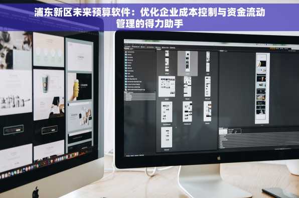 浦东新区未来预算软件：优化企业成本控制与资金流动管理的得力助手