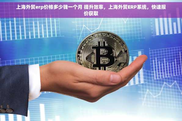 上海外贸erp价格多少钱一个月 提升效率，上海外贸ERP系统，快速报价获取