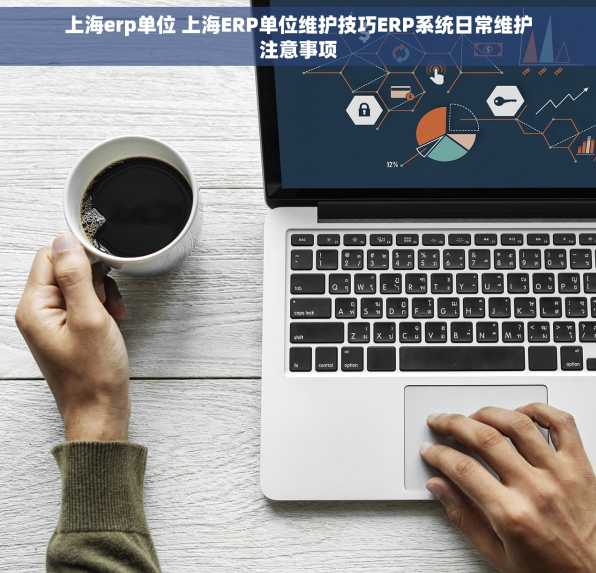 上海erp单位 上海ERP单位维护技巧ERP系统日常维护注意事项