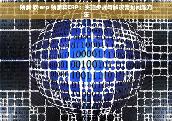 杨浦 软 erp 杨浦软ERP：实施步骤与解决常见问题方法