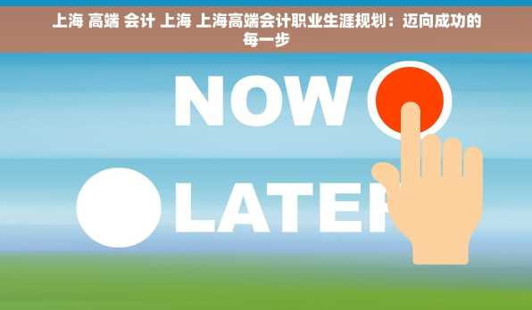 上海 高端 会计 上海 上海高端会计职业生涯规划：迈向成功的每一步