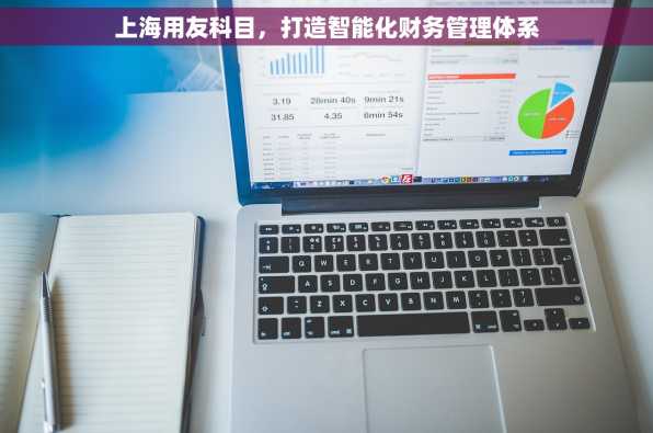 上海用友科目，打造智能化财务管理体系