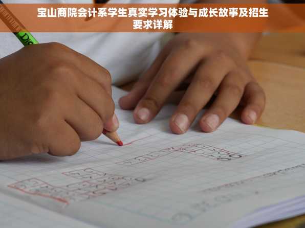 宝山商院会计系学生真实学习体验与成长故事及招生要求详解