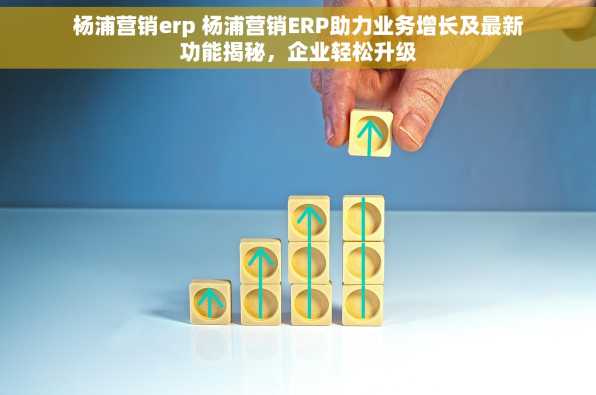 杨浦营销erp 杨浦营销ERP助力业务增长及最新功能揭秘，企业轻松升级
