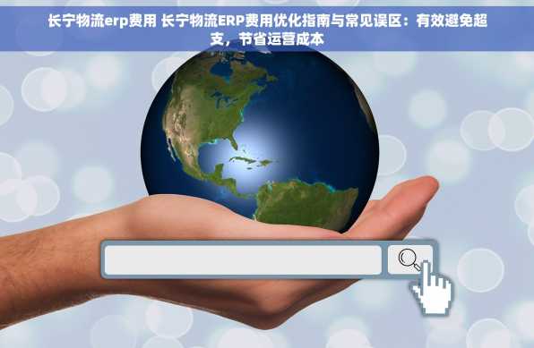 长宁物流erp费用 长宁物流ERP费用优化指南与常见误区：有效避免超支，节省运营成本