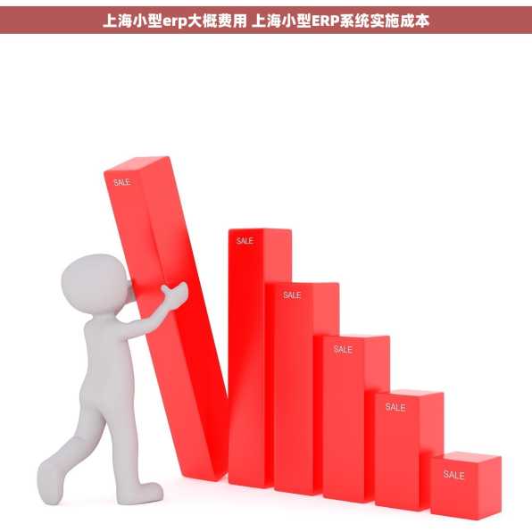 上海小型erp大概费用 上海小型ERP系统实施成本