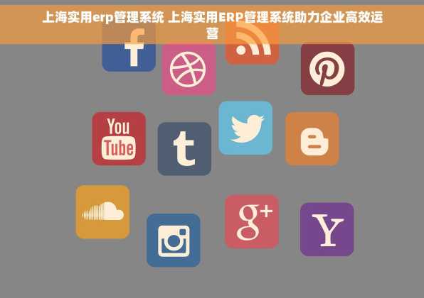 上海实用erp管理系统 上海实用ERP管理系统助力企业高效运营
