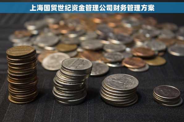 上海国贸世纪资金管理公司财务管理方案