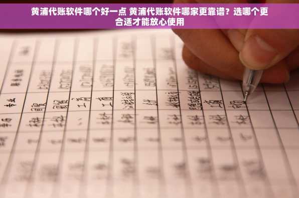 黄浦代账软件哪个好一点 黄浦代账软件哪家更靠谱？选哪个更合适才能放心使用