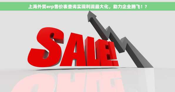 上海外贸erp售价表查询实现利润最大化，助力企业腾飞！?