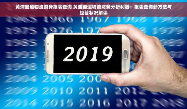黄浦蜀道物流财务报表查询 黄浦蜀道物流财务分析利器：报表查询新方法与经营状况解读