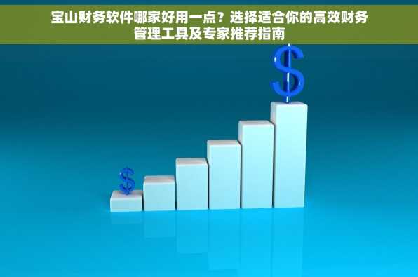 宝山财务软件哪家好用一点？选择适合你的高效财务管理工具及专家推荐指南