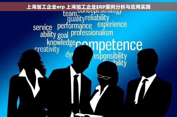 上海加工企业erp 上海加工企业ERP案例分析与应用实践