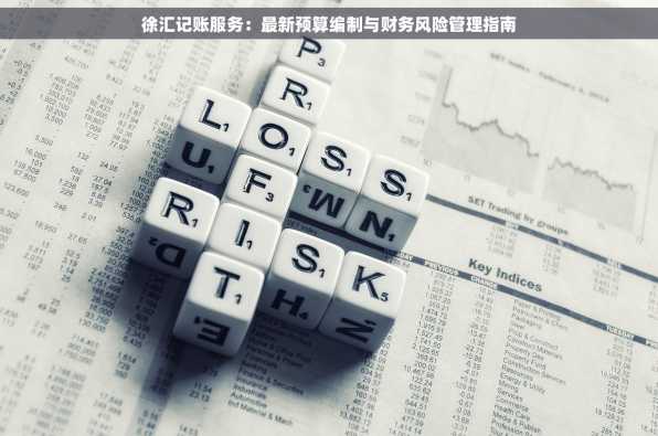 徐汇记账服务：最新预算编制与财务风险管理指南