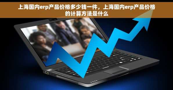 上海国内erp产品价格多少钱一件，上海国内erp产品价格的计算方法是什么