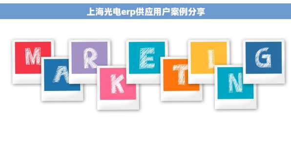 上海光电erp供应用户案例分享