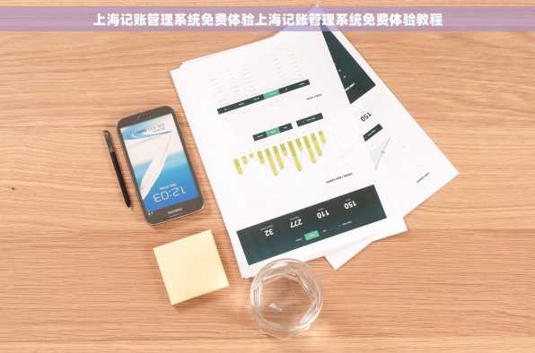 上海记账管理系统免费体验上海记账管理系统免费体验教程