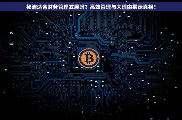 杨浦适合财务管理发展吗？高效管理与大理由揭示真相！