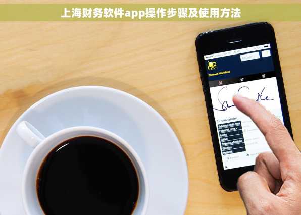 上海财务软件app操作步骤及使用方法