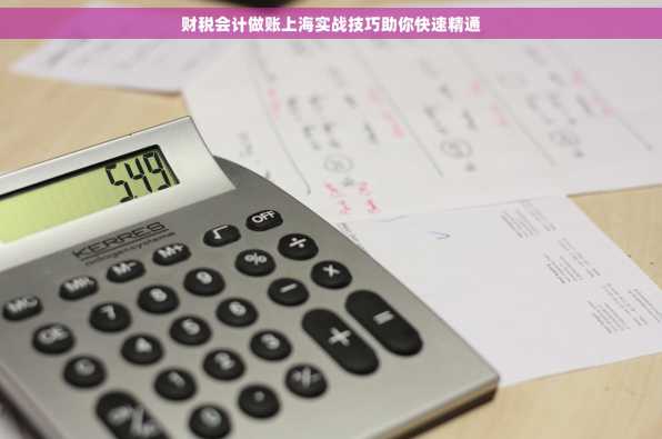 财税会计做账上海实战技巧助你快速精通
