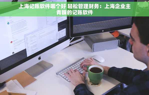 上海记账软件哪个好 轻松管理财务：上海企业主青睐的记账软件