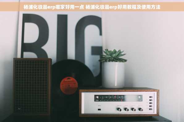 杨浦化妆品erp哪家好用一点 杨浦化妆品erp好用教程及使用方法