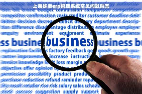 上海株洲erp管理系统常见问题解答