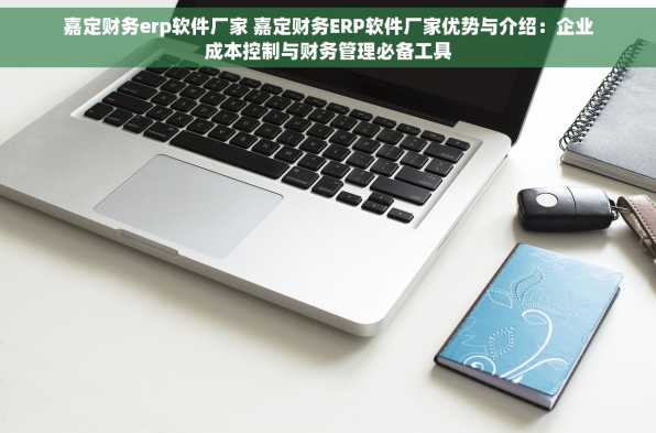 嘉定财务erp软件厂家 嘉定财务ERP软件厂家优势与介绍：企业成本控制与财务管理必备工具