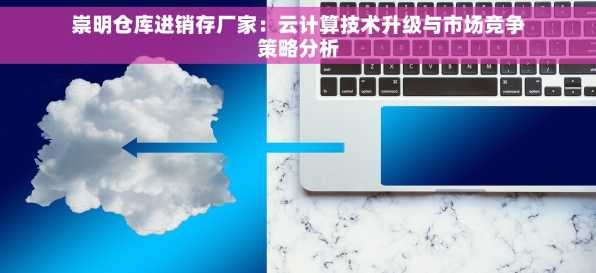 崇明仓库进销存厂家：云计算技术升级与市场竞争策略分析