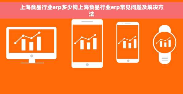 上海食品行业erp多少钱上海食品行业erp常见问题及解决方法