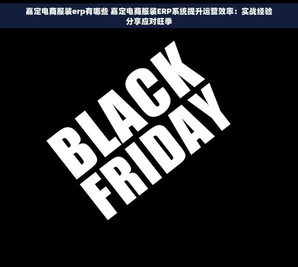 嘉定电商服装erp有哪些 嘉定电商服装ERP系统提升运营效率：实战经验分享应对旺季