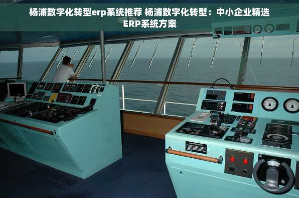杨浦数字化转型erp系统推荐 杨浦数字化转型：中小企业精选ERP系统方案