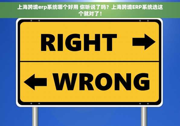 上海跨境erp系统哪个好用 你听说了吗？上海跨境ERP系统选这个就对了！
