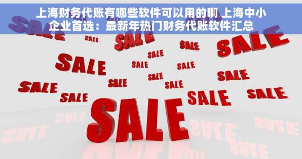 上海财务代账有哪些软件可以用的啊 上海中小企业首选：最新年热门财务代账软件汇总