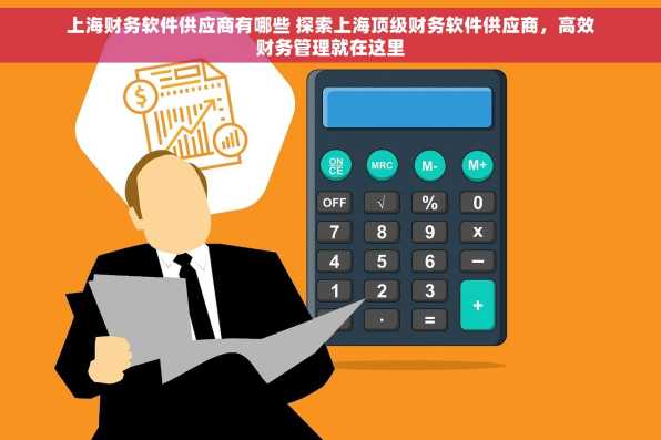 上海财务软件供应商有哪些 探索上海顶级财务软件供应商，高效财务管理就在这里