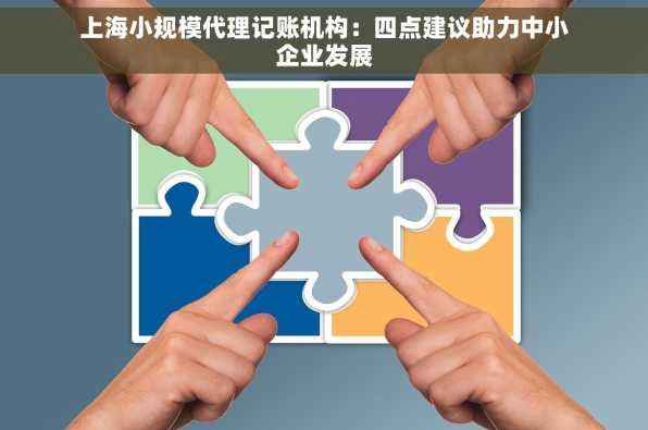 上海小规模代理记账机构：四点建议助力中小企业发展