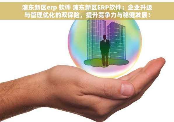 浦东新区erp 软件 浦东新区ERP软件：企业升级与管理优化的双保险，提升竞争力与稳健发展！