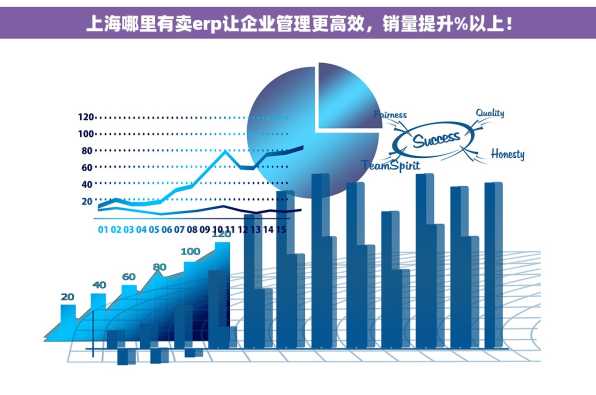 上海哪里有卖erp让企业管理更高效，销量提升%以上！