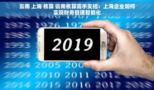 云南 上海 核算 云南核算高手支招：上海企业如何实现财务管理智能化