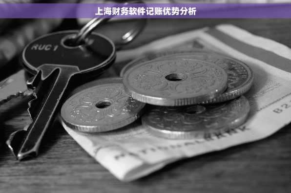 上海财务软件记账优势分析